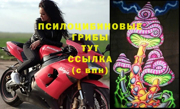 сатива Волосово