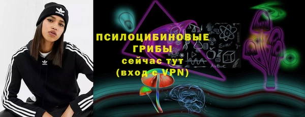 стаф Володарск