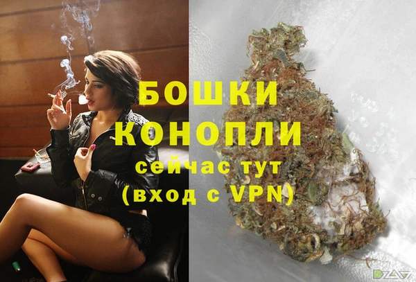 стаф Володарск