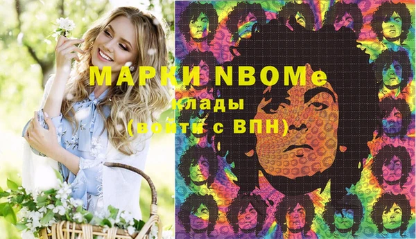 стаф Володарск