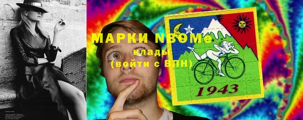 сатива Волосово