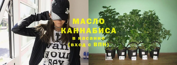 сатива Волосово